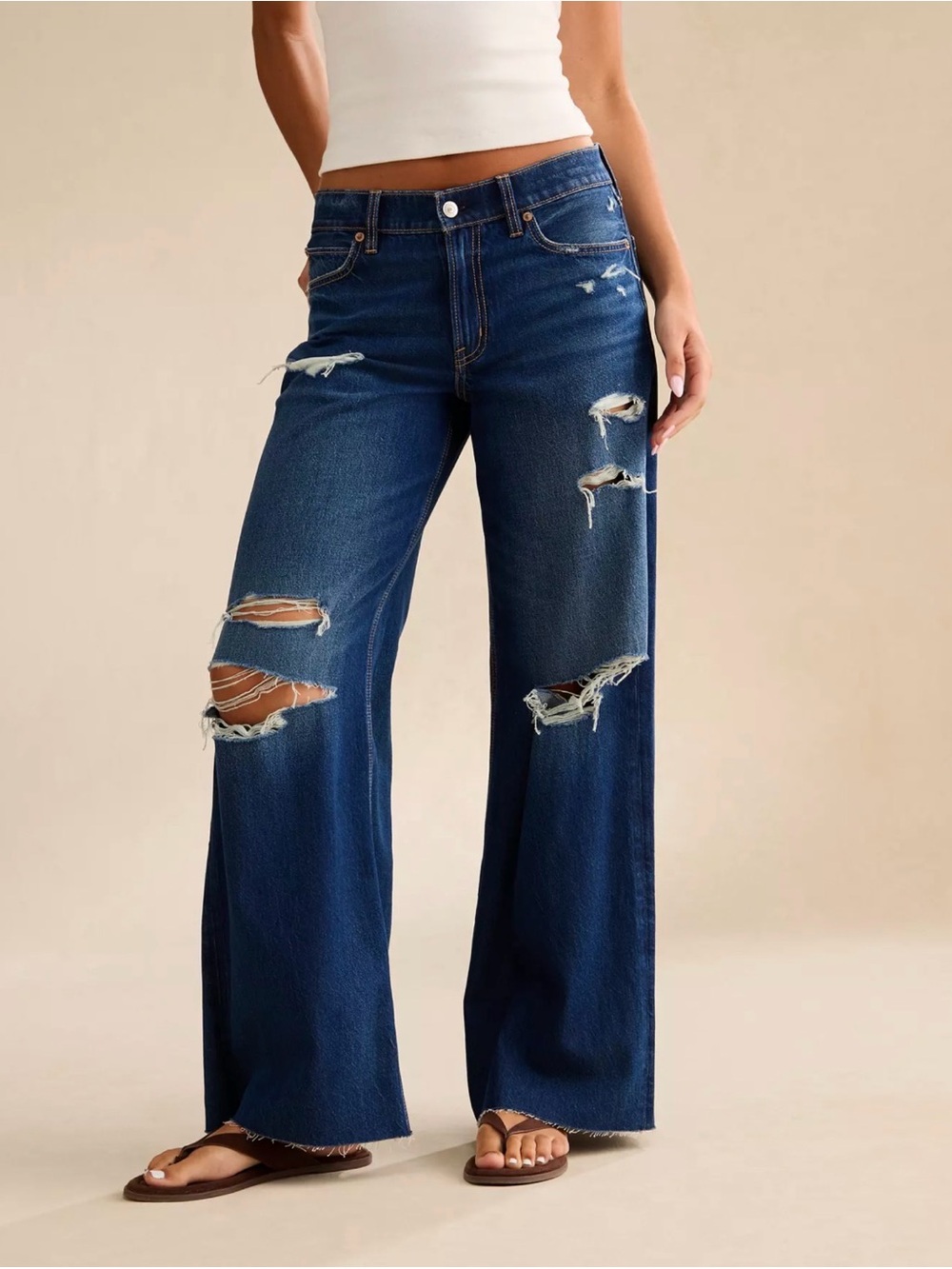 American Eagle Outfitters Low-Rise Baggy Ultra-Wide Leg